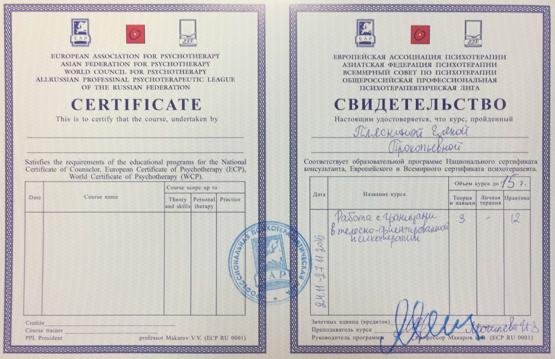 Образование и квалификация 28